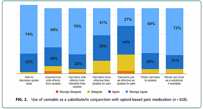 Medicinal marijuana survey