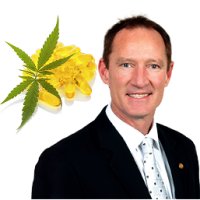 Queensland MP Sponsors Medical Marijuana Petition