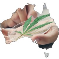 Medical marijuana - Australia