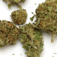 Medical marijuana - Illinois