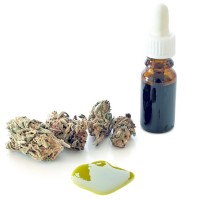 NZ Grey Power - Medical Marijuana