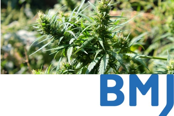 British Medical Journal - Medicinal Marijuana