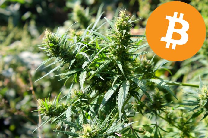 Bitcoin - medicinal marijuana