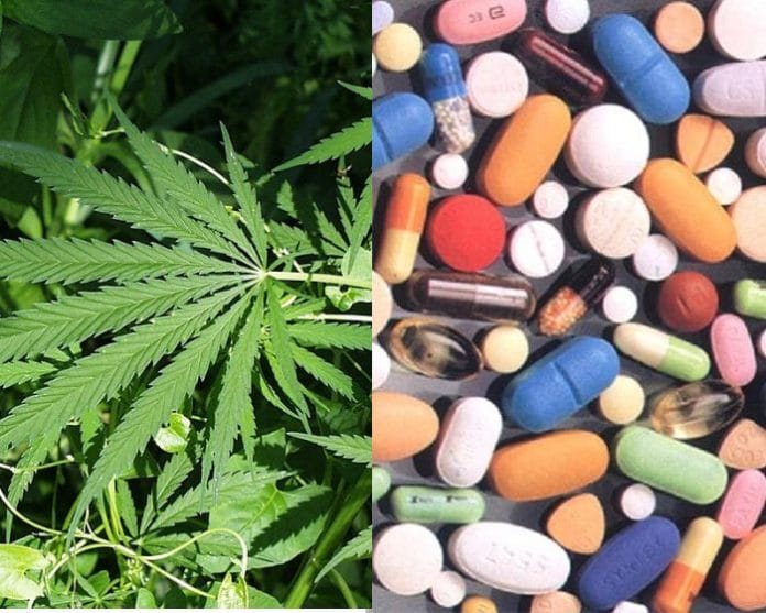 Cannabis substituting prescription drug use