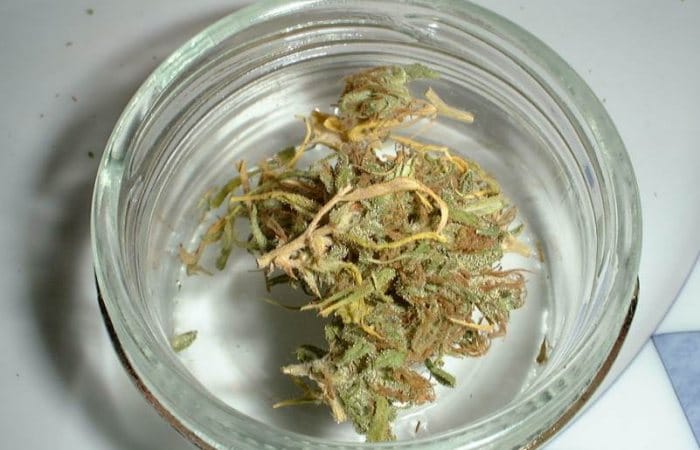 Medical marijuana supply issues - Nevada