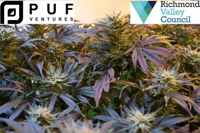 Medical cannabis cultivation greenhouse for New South Wales