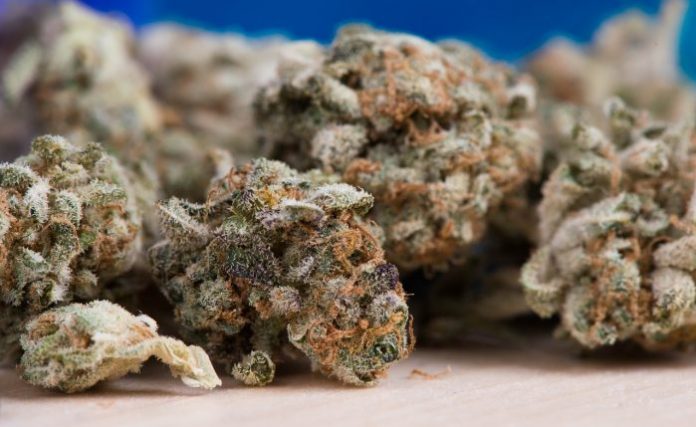 Medicinal marijuana in Hawaii