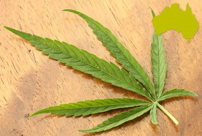 Australian medical marijuana news