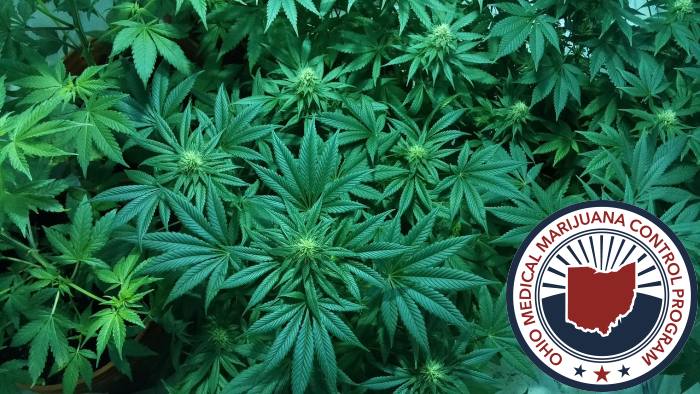 Medicinal marijuana in Ohio