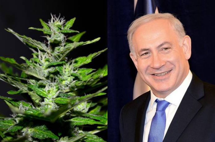 Medicinal marijuana exports in Israel