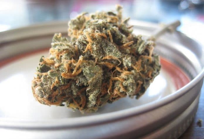 Medicinal marijuana in New Jersey