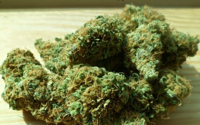 Medicinal cannabis in Hawaii