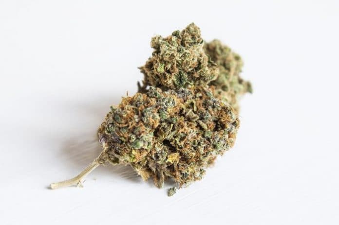 Recreational marijuana to kill medical cannabis?