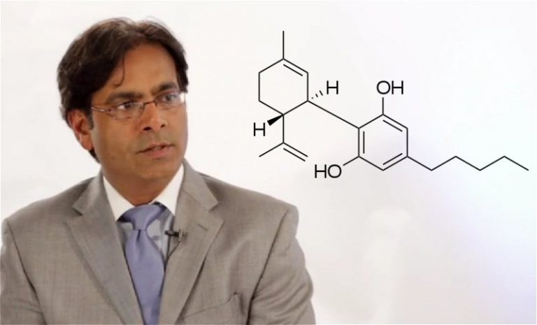 Dr. Sanjay Gupta and medical cannabis