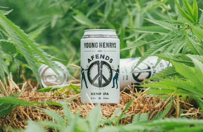 Young Henrys and Afend's Hemp IPA beer