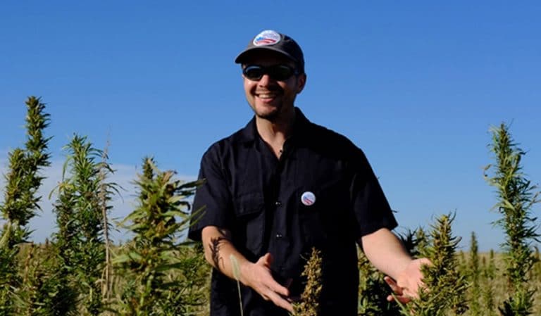 Industrial hemp cultivation in the USA