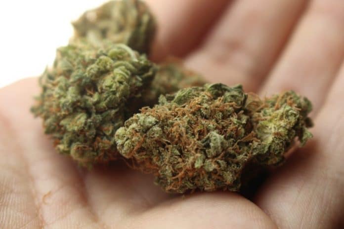 Medicinal cannabis in Oklahoma
