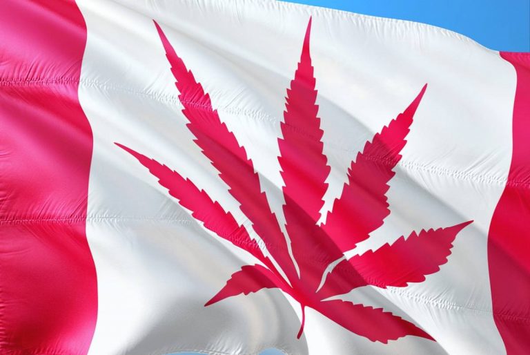 Medicinal cannabis sales in Canada