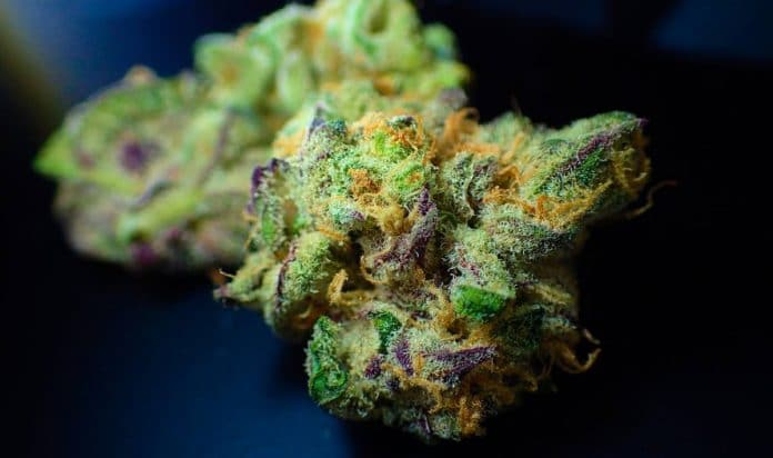 Medical cannabis Hawaii