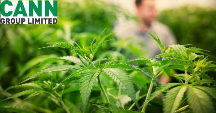Cann Group - Medical Cannabis