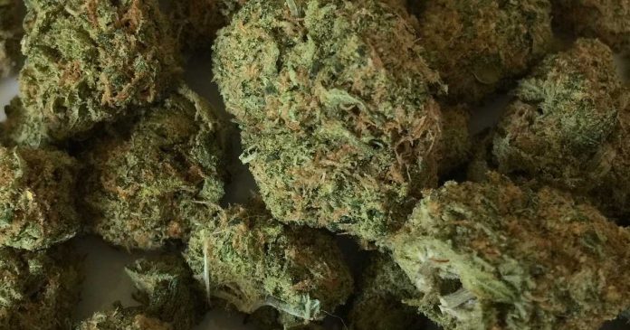 Medicinal marijuana - Oklahoma