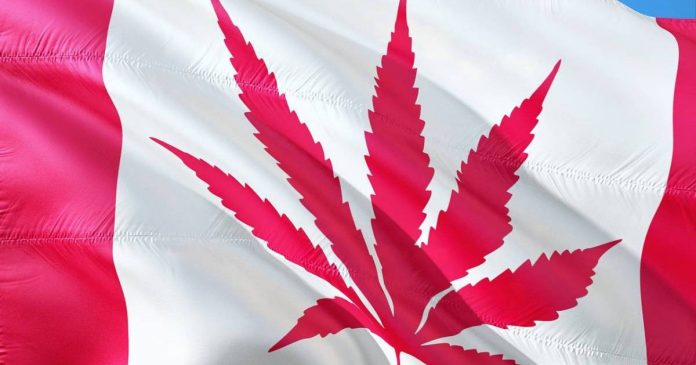 Canada cannabis statistics
