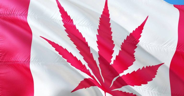 Canada cannabis statistics