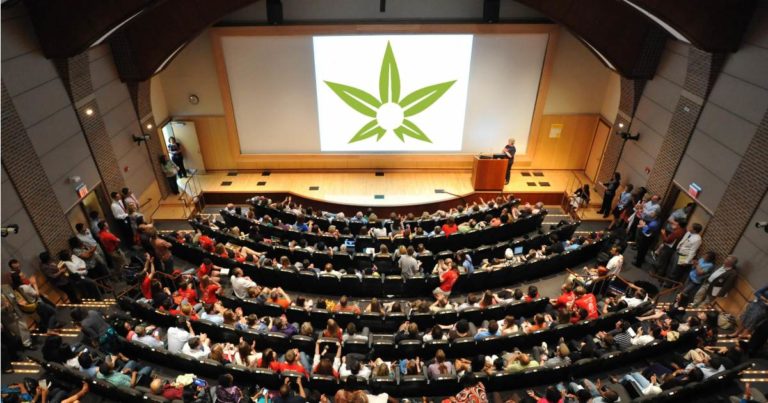 Medical cannabis information sessions