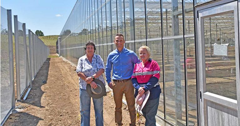Medical cannabis production facility in Lismore