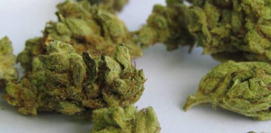 DEA - Marijuana Research
