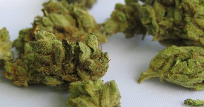 DEA - Marijuana Research