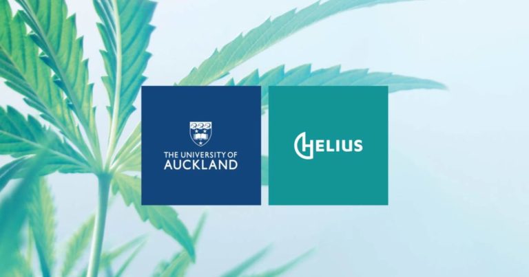 Medical cannabis in New Zealand