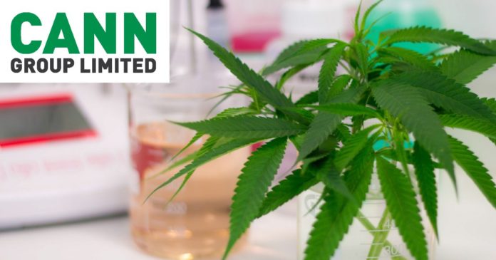 Cann Group - medical cannabis