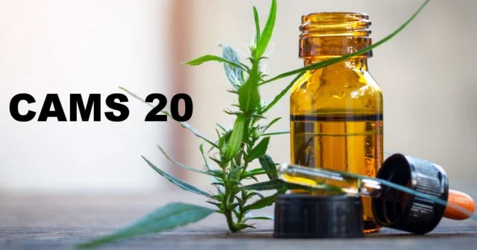 Cannabis as Medicine Survey 2020