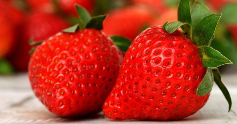Cannabidiol extends shelf life of strawberries