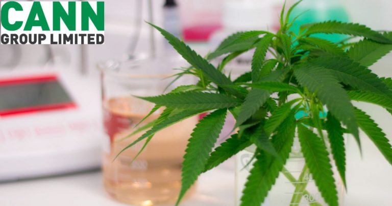 Cann Group - medical cannabis