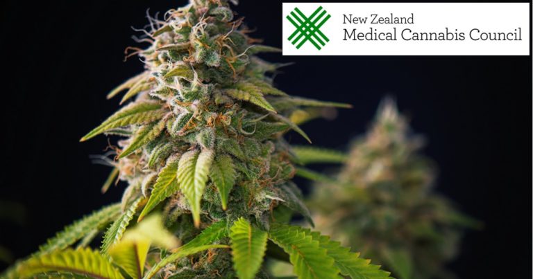 New Zealand medicinal cannabis imports
