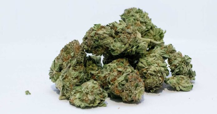 Medical cannabis and COVID
