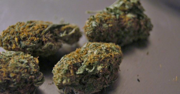 Mississippi medical cannabis