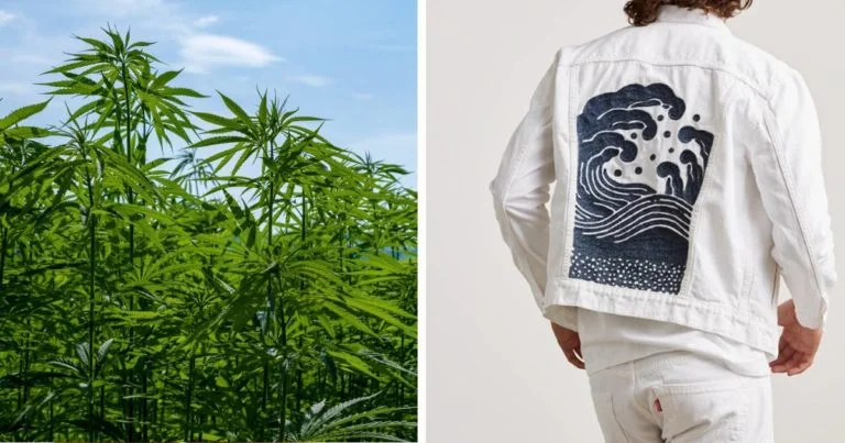 Levi Strauss Co. And Cottonized Hemp Hemp Gazette