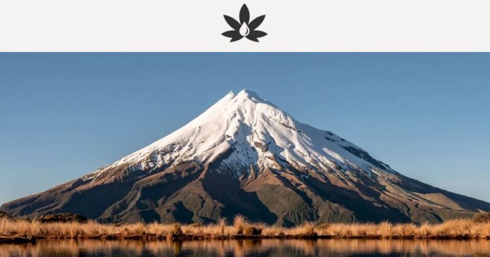 Greenfern - NZ medicinal cannabis