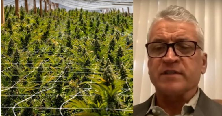 Oregon's illlegal marijuana crisis