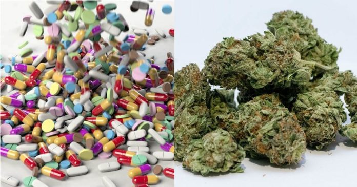 Medical cannabis and prescription drugs