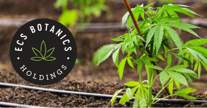 ECS Botanics cannabis resin