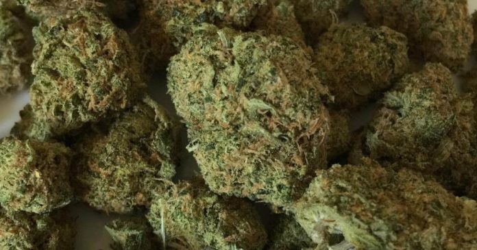 Medical cannabis - Virginia