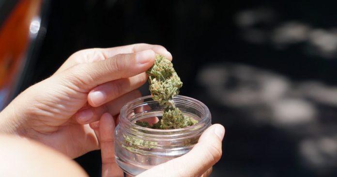 Medical cannabis in California