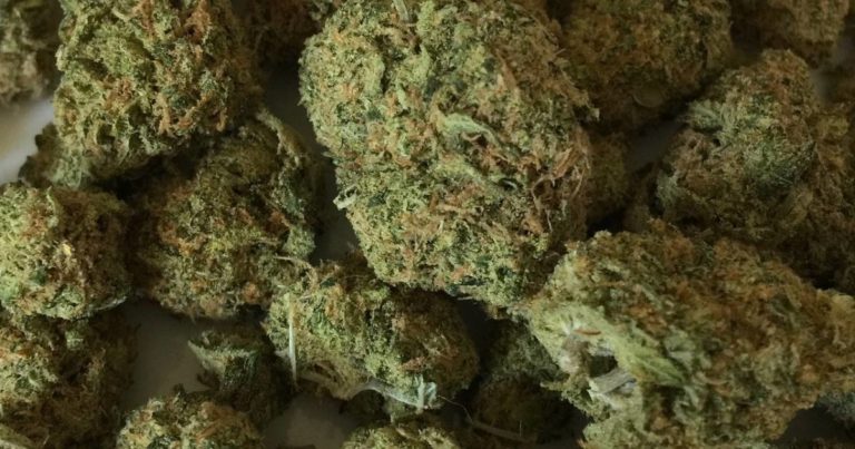 Colorado Medical Cannabis Sales Plummet Again