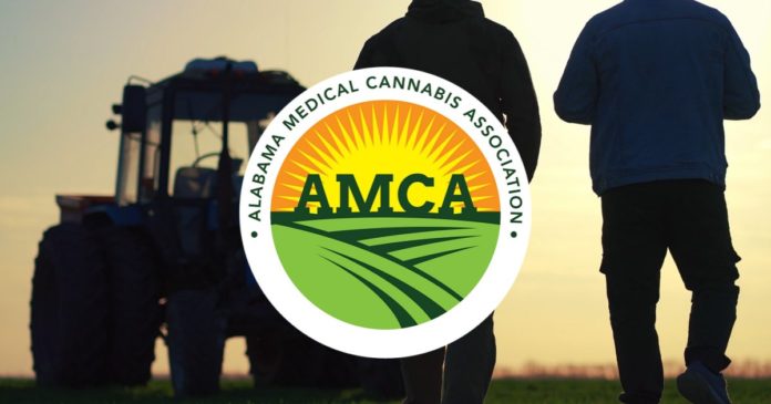 Medical cannabis in Alabama: poll results