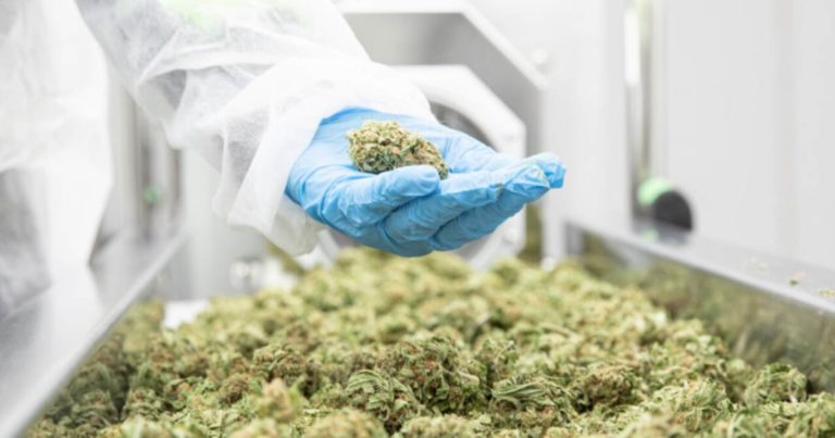 ECS Botanics To Launch Medical Cannabis “Smart Inhaler”