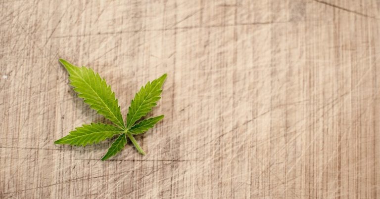 Study: Medical Marijuana Legalization and Opioid Use In Cancer Patients